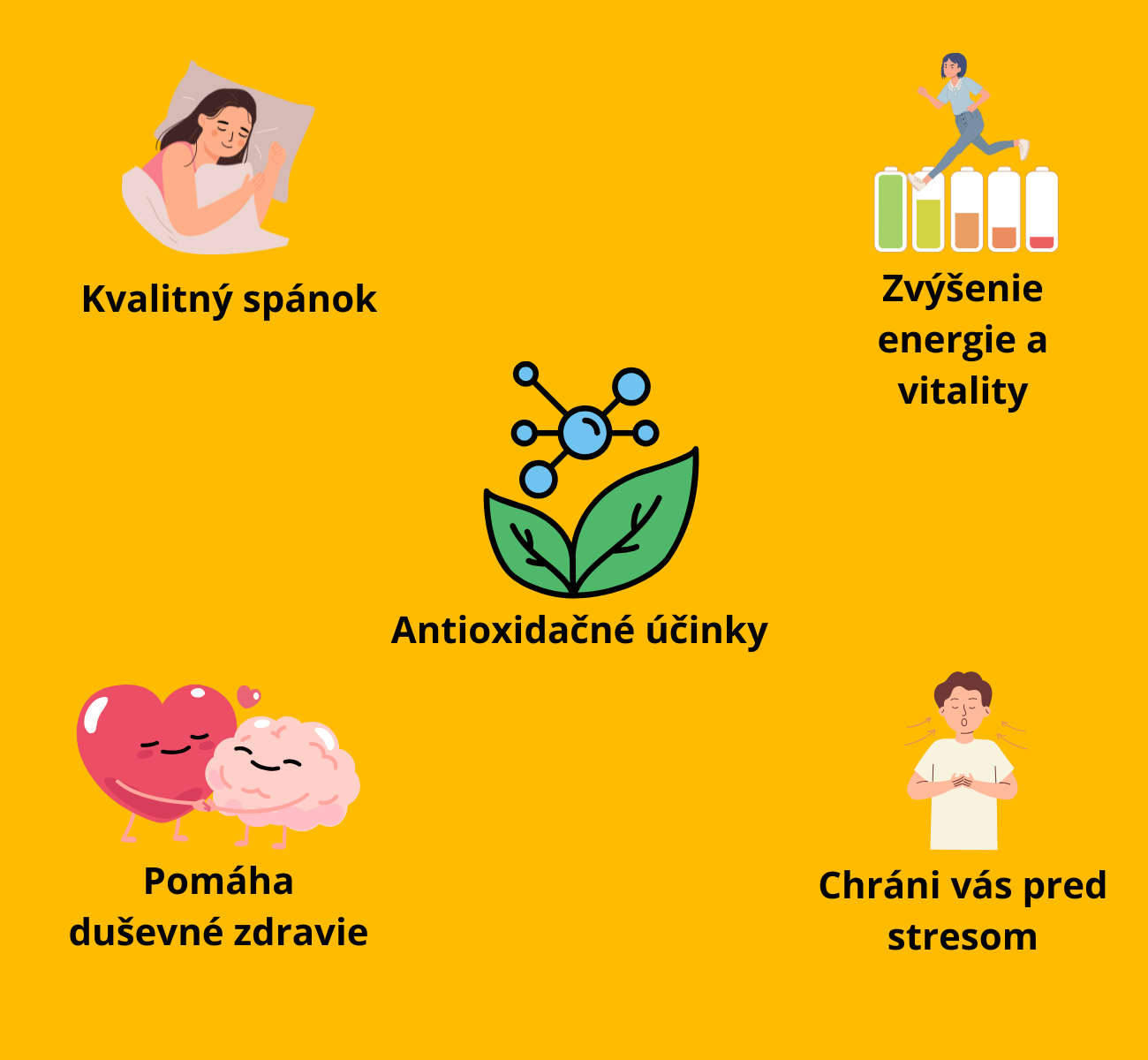2+1 Kráľovská ašvaganda 600 mg, extrakt z ašvagandy s 5 % withanolidov, 3x60 kapsúl