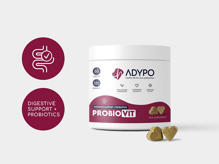 ADYPO ProbioVit - probiotiká a zažívanie