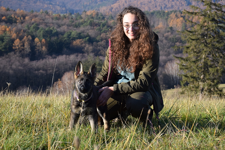 ADYPO MoVit Collagen - kosti a kĺby s kolagénom