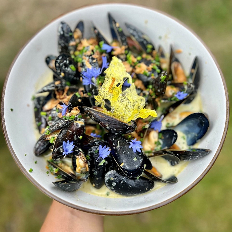 Degustační sada Divoký Bistro