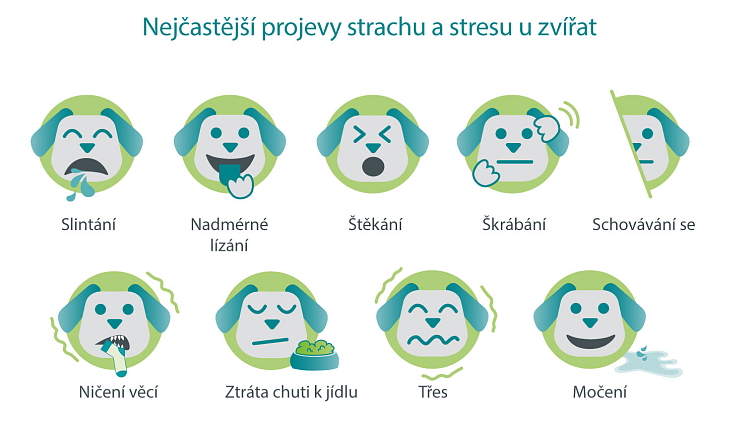 WeCalm Tasty
