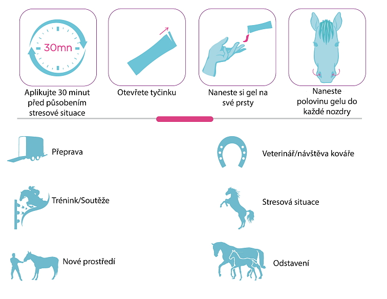 Confidence EQ 10 ks, nový název SecureHorse Flash