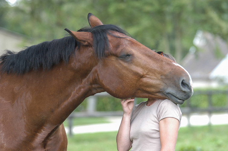 Confidence EQ 10 ks, nový název SecureHorse Flash