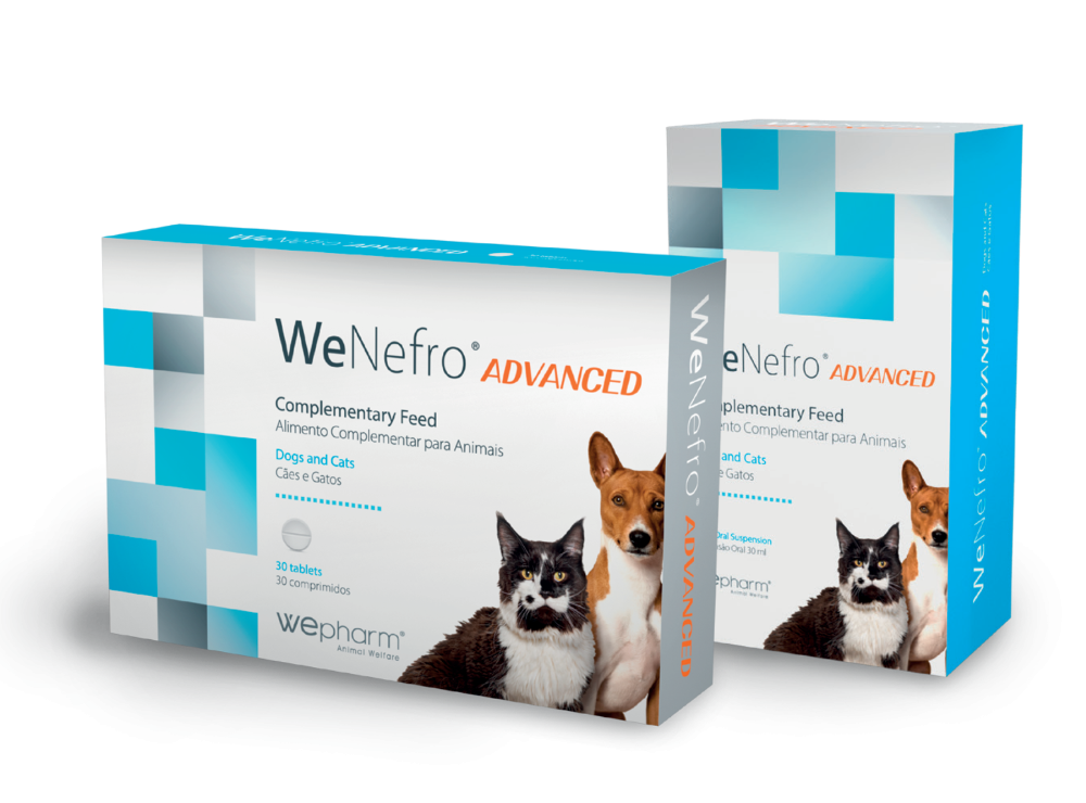WeNefro