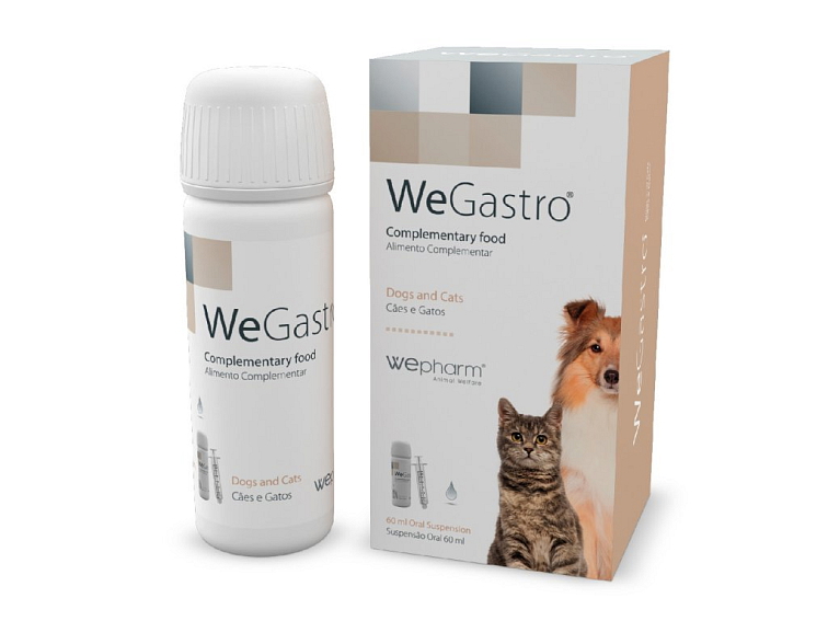 WeGastro