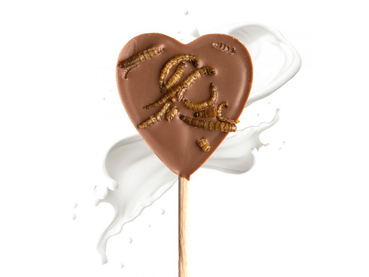 Crunchy Čokoládové lízátko s hmyzem 13 g