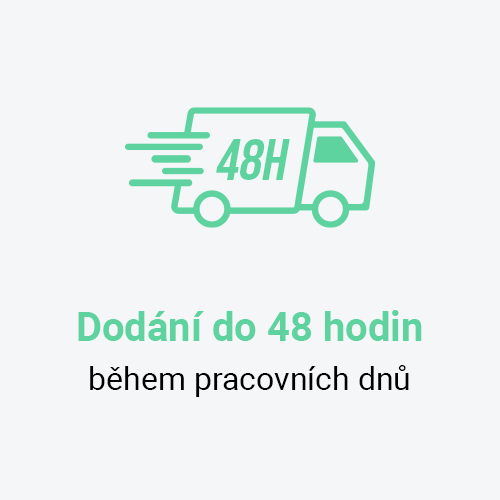 Ikona