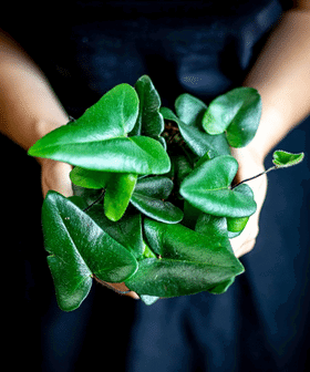 KONTAKTY - Press a marketing