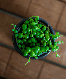 Blog - Trendy roku 2024