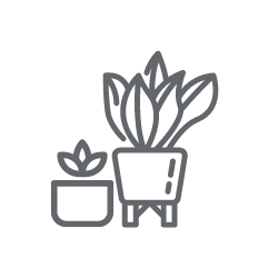 O PRODUKTECH - Neemový olej