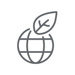 BLOG - Jak pečovat o rostliny v létě 