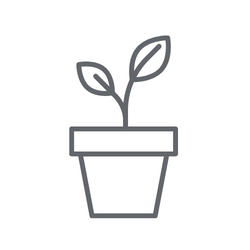 BLOG - Alocasia, elegance do vašich pokojů