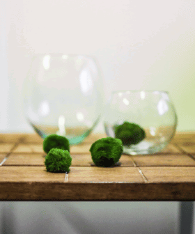 Blog - Trendy roku 2024