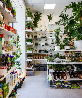 Nová prodejna Gardners v Dejvicích