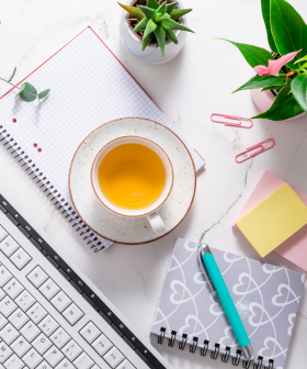 Zpříjemněte si návrat do práce – oživte pracovní stůl pokojovými rostlinami