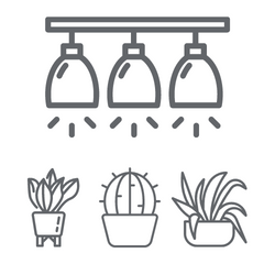 O PRODUKTECH - Variegátní neboli panašované rostliny