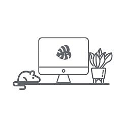 BLOG - Home office s rostlinami