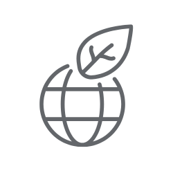 BLOG - Rozmnožování pokojových rostlin