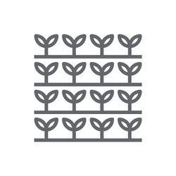 O PRODUKTECH - Tillandsie a jejich (barevné) pozoruhodnosti