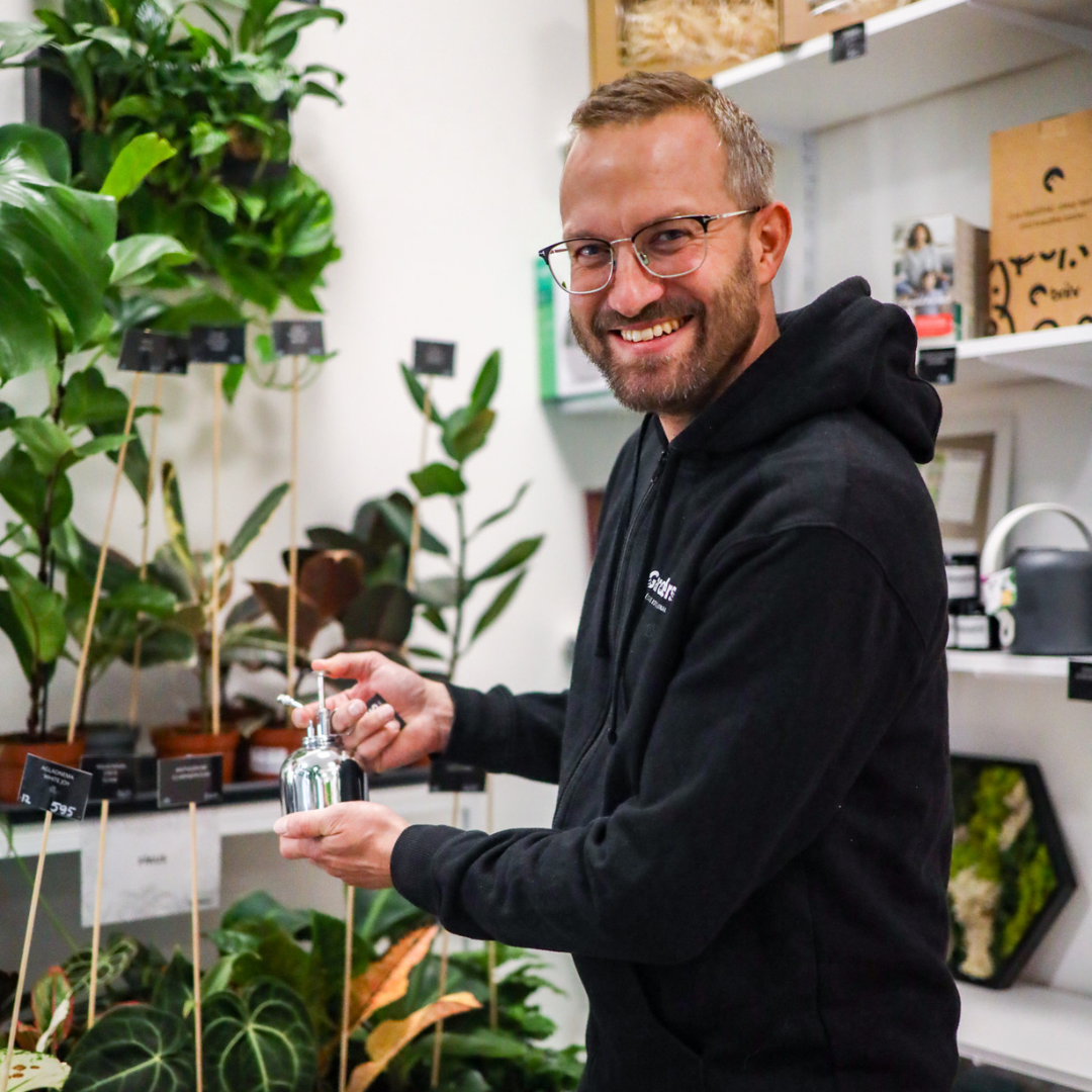 O PRODUKTECH - Senecio – nenáročný sukulent do každého bytu