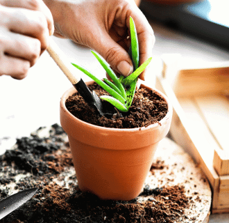 O PRODUKTECH - Aloe