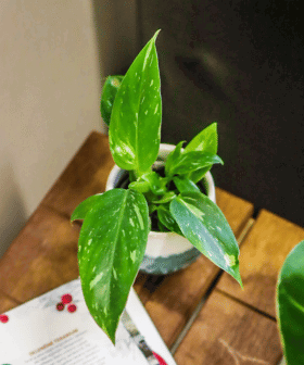 Blog - Trendy roku 2024