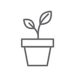 Zpříjemněte si návrat do práce – oživte pracovní stůl pokojovými rostlinami