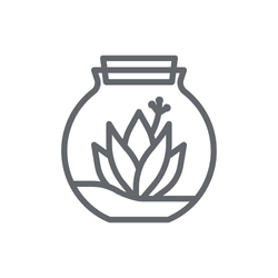 Zpříjemněte si návrat do práce – oživte pracovní stůl pokojovými rostlinami