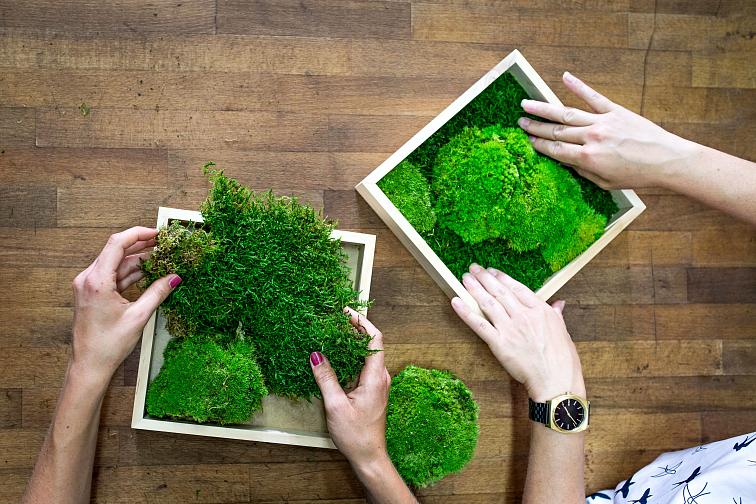 Online workshop - Vyrobte si svůj mechový obraz