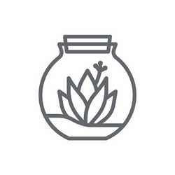 O PRODUKTECH - 4 důvody proč si pořídit rostlinné terárium