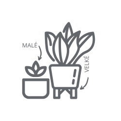 BLOG - Hnojení pokojových rostlin