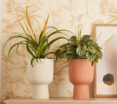 Obal Vibes Fold Orchid High 12,5 cm, čirá