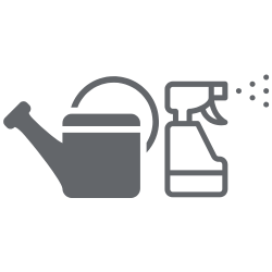 BLOG - Rozmnožování pokojových rostlin