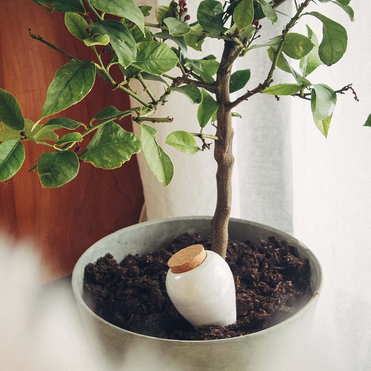 Zavlažovací nádoba Olla velká 5 l, přírodní