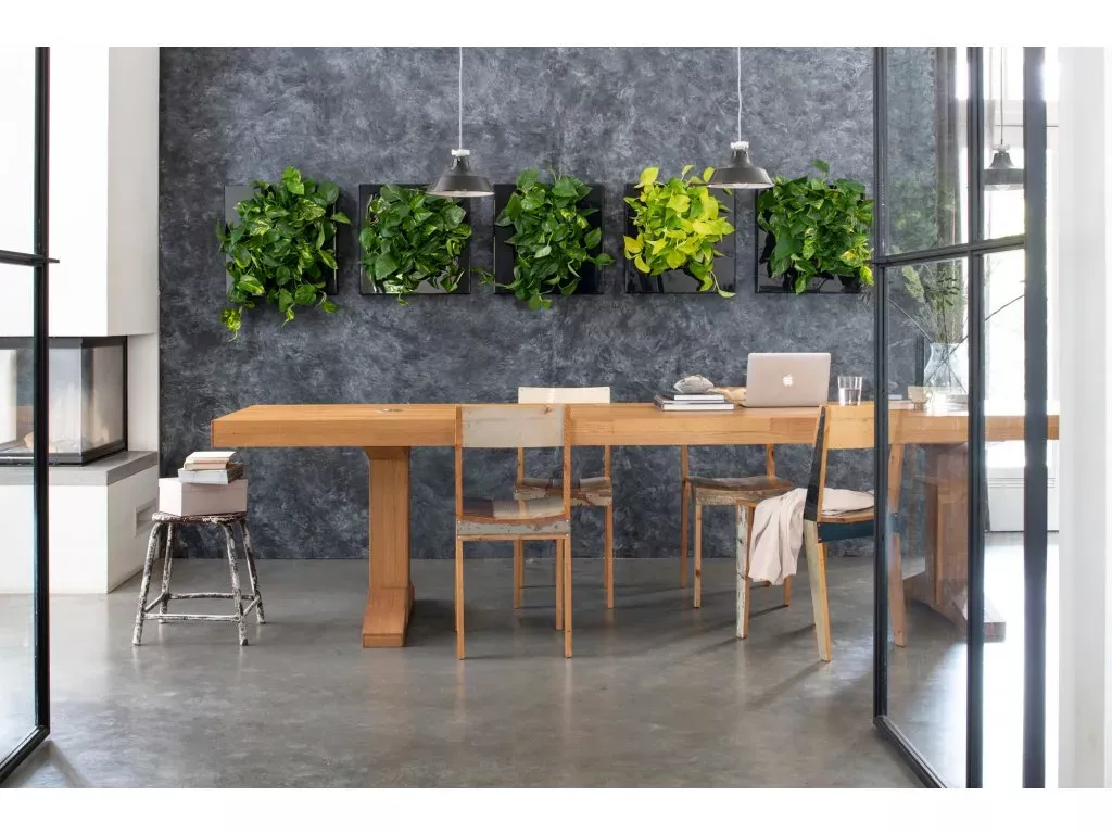 Vertikální stěna, rozdělovač místností LiveDivider PLUS ® - matná černá