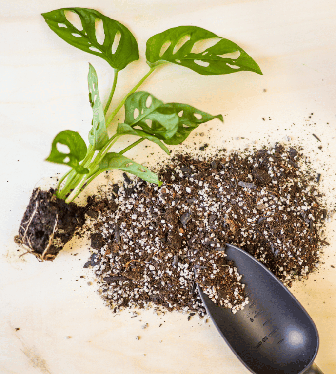 Taška na bezobalový substrát, 5 l