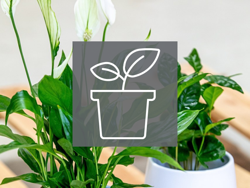 O PRODUKTECH - rozcestník