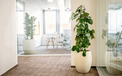 KONTAKTY - Interiér