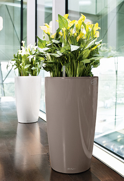 Samozavlažovací květináč Rondo Premium 40 cm, antracitová