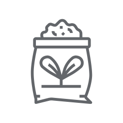 BLOG - Hnojení pokojových rostlin