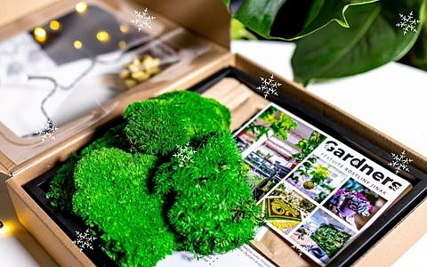 VÁNOCE - Největší hity Vánoc (bestsellery)