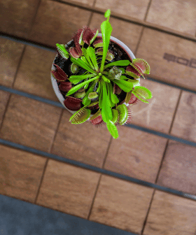 Blog - Trendy roku 2024