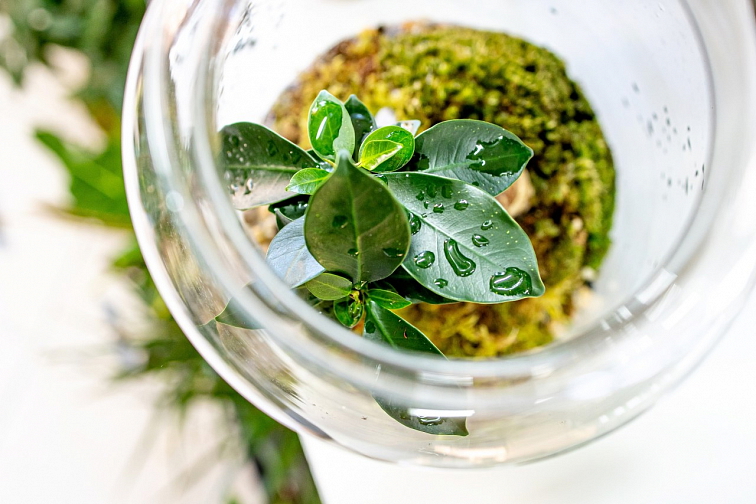 O PRODUKTECH - Workshopy v Gardners