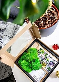 Dárková sada pro klíčení