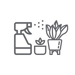 BLOG - Home office s rostlinami