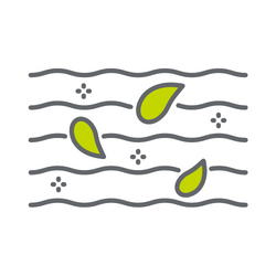 BLOG - Home office s rostlinami