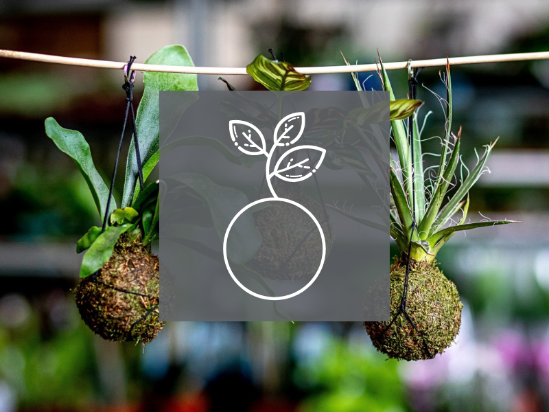 O PRODUKTECH - rozcestník