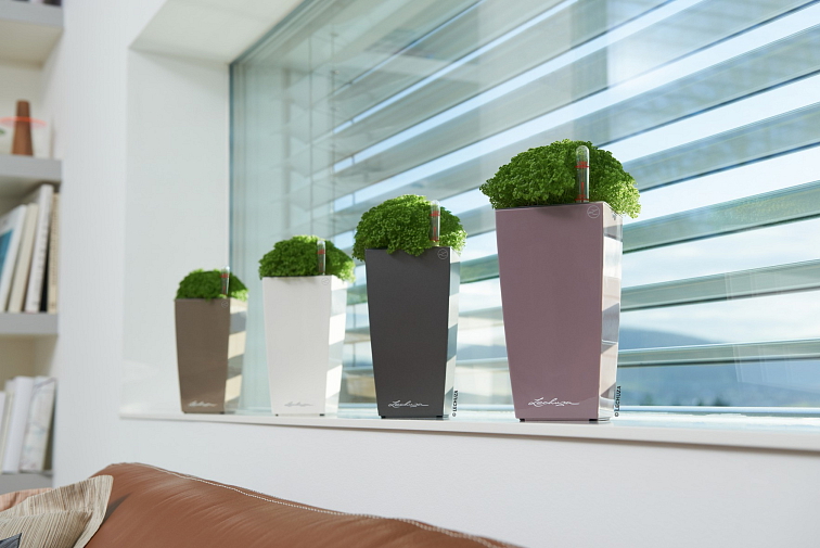 Samozavlažovací květináč Mini-Cubi 9 cm, červená