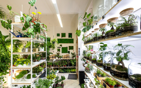 VÁNOCE - Vánoce v prodejnách Gardners 