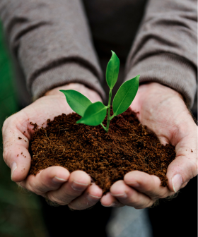 Blog - Trendy roku 2024